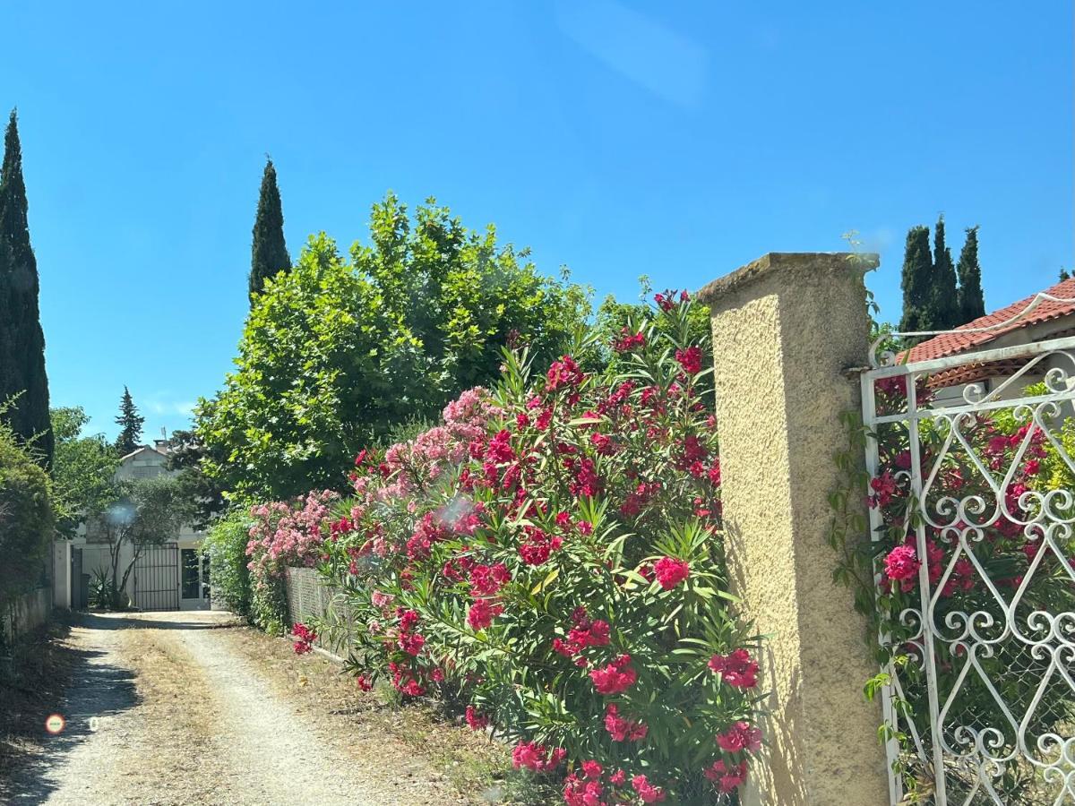 Clos Des Plages Maison De Vacances Ла-Сьйота Екстер'єр фото